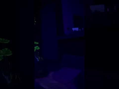 Danza de los Elementos: Sonajas y Tambor (Parte 3)