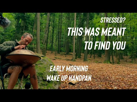 How I start the day to Stay Sane  -  Early Morning Handpan Forest Meditation for You