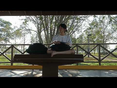 【手碟 Handpan】Yu Xuan - DECO*27 - Ghost Rule (12-01-2022)