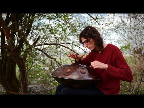 Spring Blossoms | F# pygmy | nature handpan