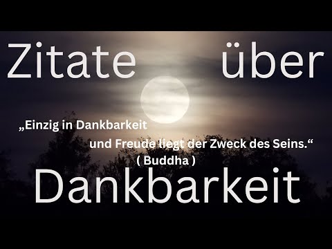 Handpan Musik mit Zitaten #5, D Kurd 8+1 Edelstahl ( inspiriert von @MalteMarten )