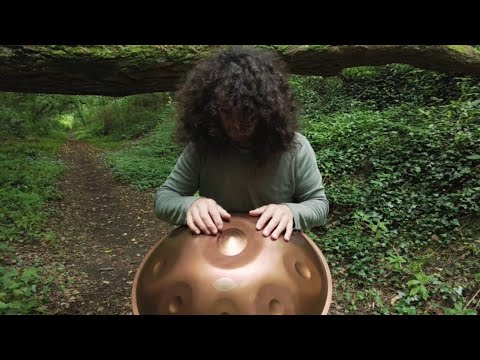 Feel the Groove | Meridian B2 Celtic Deep Series | Handpan Music
