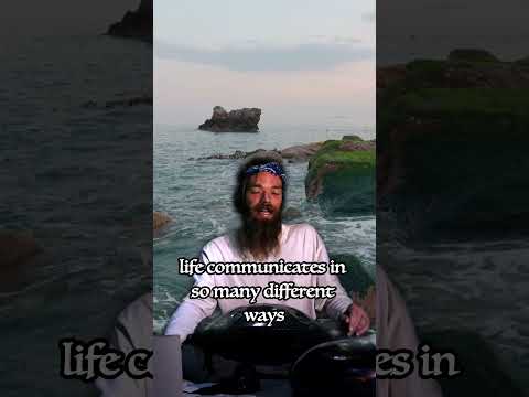 #Being #Present #IntheMoment so that You Can #Listen to #Life