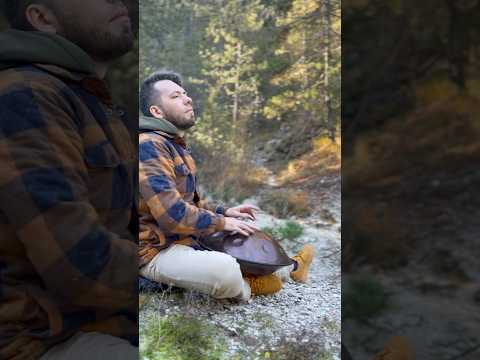 Groovster Handpan medi #handpansound #handpanmeditation #handpanworld