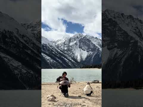 然烏湖的一段手碟翻彈，演奏時意外收穫一位小助理，不知不覺就有人幫忙打節奏～Handpan cover at Ranwu Lake#handpan#music#youtubeshorts