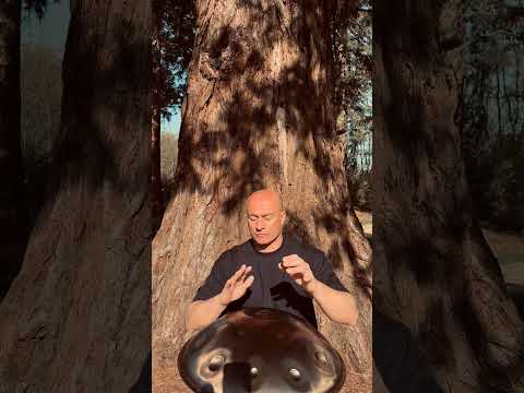 🌳 Handpan in the Giant’s Shadow ❤️