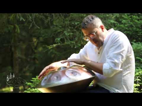 Gedanken. Wald. Natur. | Thoughts. Forest. Nature. - Battiloro Handpan