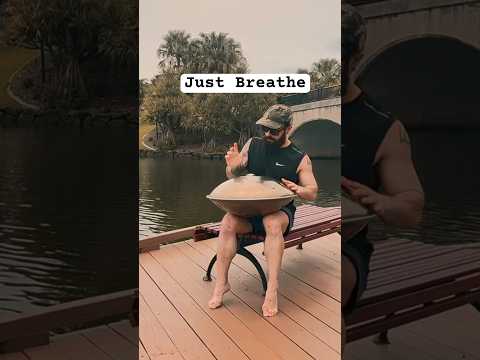 This Handpan Sound Will Calm Your Soul