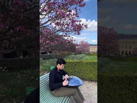 Handpan C Amara 10 - Jardin du Palais Royal - Paris - France