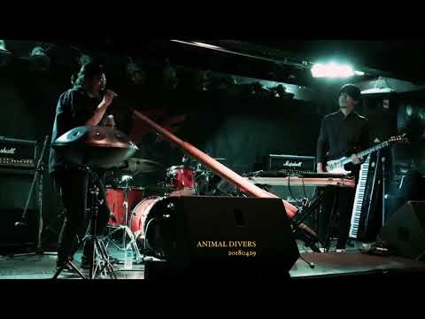 Animal Divers - Horizon Noir (20180429 @ClubFF)