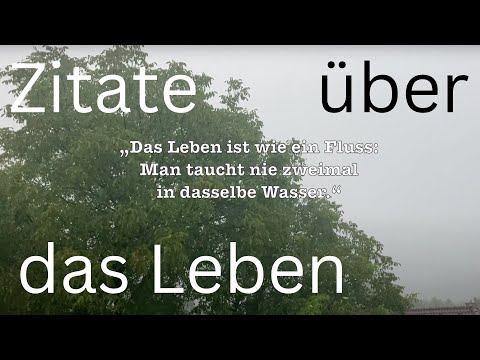 Handpan Musik mit Zitaten #7, ( gelernt von Paul Erdmann @Handpanschule ) D Kurd 8+1 Edelstahl
