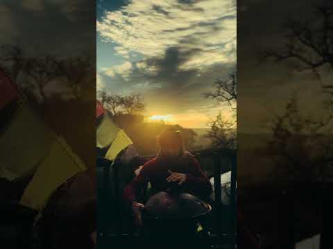 A moi seg ma uns wieder - Solo | Alwin Steinle | Handpan #handpan #handpanmusic #andreasgabalier