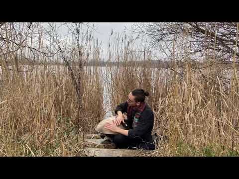 Nova Handpan D Minor 12