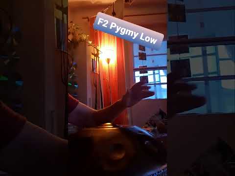 4.6.26 F2 Pygmy Low, intuitiv, medieval, Memory #musikentdecken #handpan #music #relax