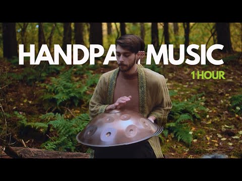 1 Hour Handpan Background Music | Forest Illuminations | Dany Rud 🧚