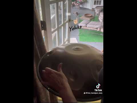 🛸🎶  That Handpan Lady playing her E Celtic Minor created by @tactahandpans  💕🛸🎶🦋