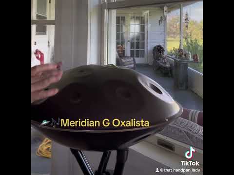 🛸🎶 🌞 A Super Sunday to all … from me & my Meridian G Oxalista 🎶🛸