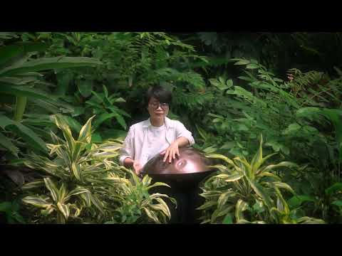 In The Sunlight ll Handpan music l Trang Kim Sang