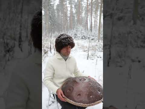 Snowy Forest Handpan Rhythm ❄️ Caucasus Vibes #handpan #snow #worldmusic #shorts #zen #viral #calm