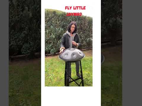 Handpan Healing Music#handpanmusic #handpanworld #dminorkurd8