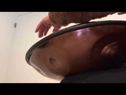 ハンドパン handpan D Ashakiran