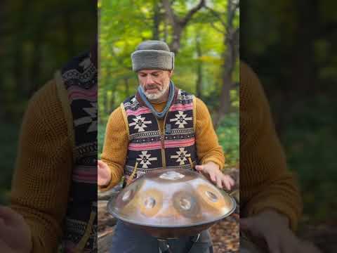 Beautiful Autumn day for the roar of the Hijaz scale ✨ #handpanmusic #handpan