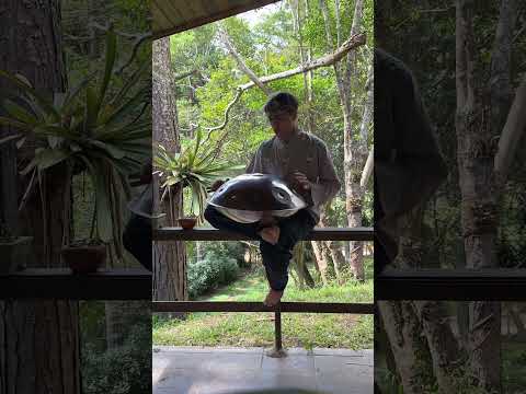 BeatRise 「StarSonic」Series - D Kurd 10 - Silver - Caio #shorts #short #handpan #handpandrum