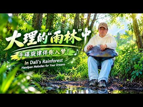 大理的「雨林」中,用一小時的手碟旋律伴你入夢!(上)Dali Rainforest|1hr Handpan Music for Sleep (Part1) #SleepAid# 助眠