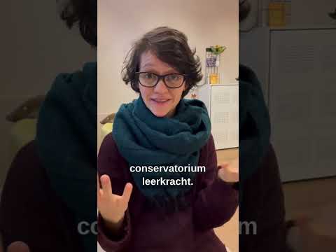 Welke Online handpancursus is het beste? - verschillen Anna Liem, Master the Handpan, Sjaak van Dam