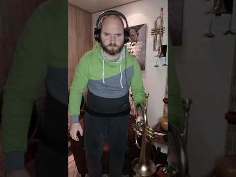 Some soothing music...Handpan feat. Flugelhorn