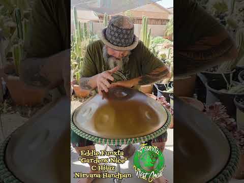 Hijaz in the San Pedro Cactus Garden! Funxtafied