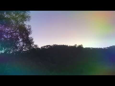 Purple sunset’s #meditation #handpan #birdsounds #healingmeditation #naturelovers #vibrations