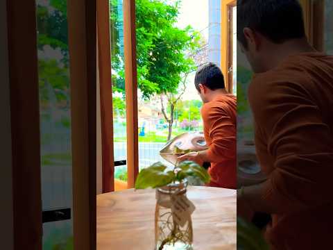 Chill Handpan Melody At Coffee Shop #handpanmusic #handpanlove #ambientmeditationmusic #cozy