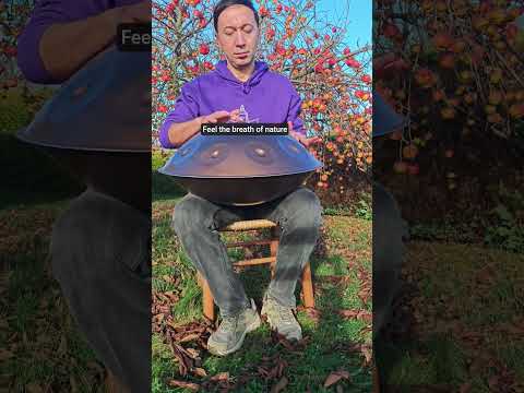 Calm Your Mind | Handpan Music in Nature #handpan #calm #meditation #shorts #relax #healing #zenmind