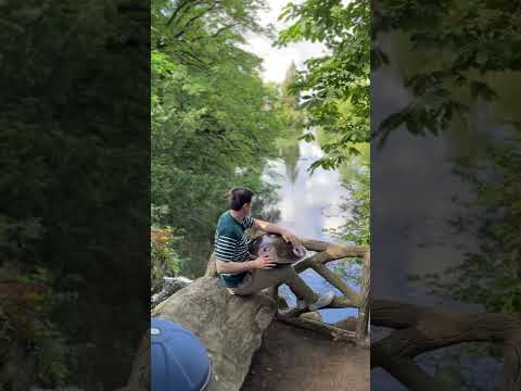 Handpan F# Pygmy 18 - Bois de Boulogne - Paris - France