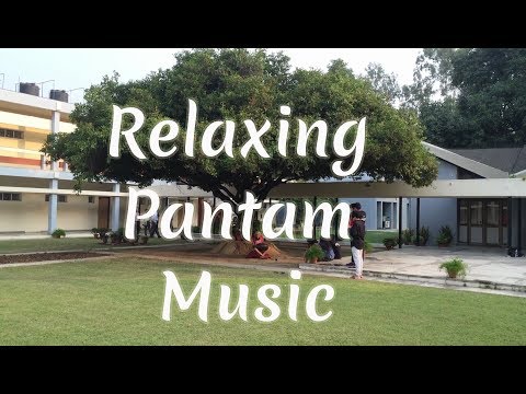 Relaxing India Pantam- playing under tree