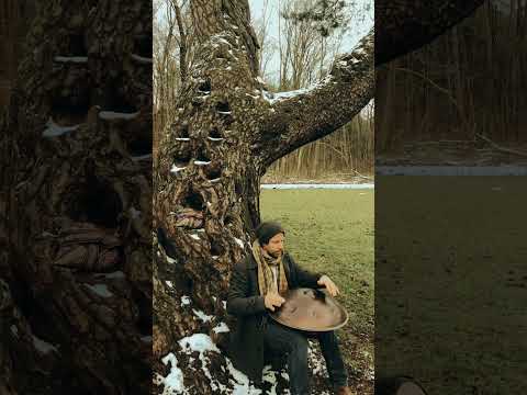 The tree where I met my sweetheart | Alwin Steinle | Handpan - Omana B-Barva #handpan #handpanmusic