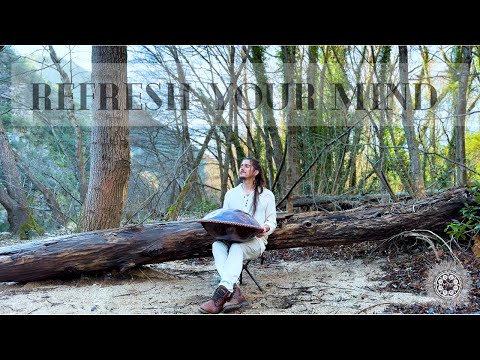Serene Handpan Melody in the Forest | Vince Myst