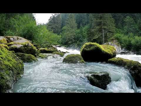 Handpan meditation music (especially for Joyce)