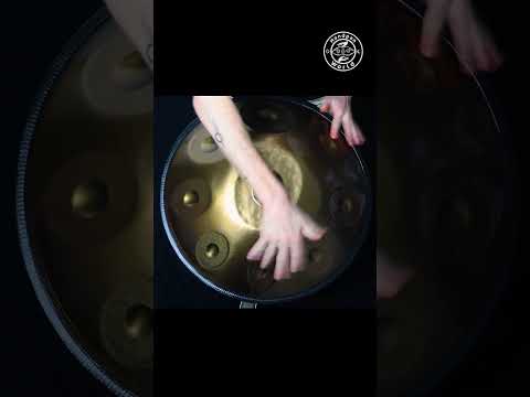 Horazyon D Kurd 9 Beginner #handpan #handpanworld