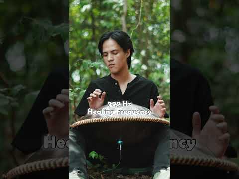Immersive stream | handpan music @Handpanion