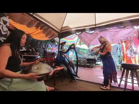 Handpan (Stephanie Law), Fiddle (Belinda Salvidge), & Harp (Hank Hogan)