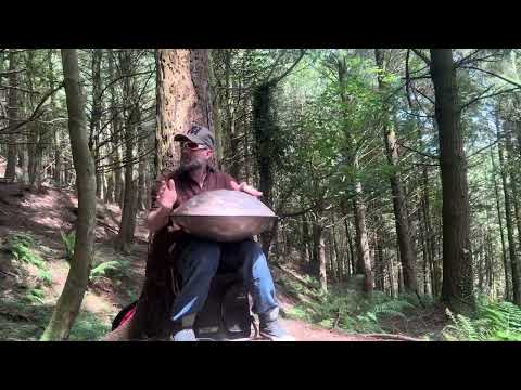Woodland songbird , Handpan Zephyr Mystic