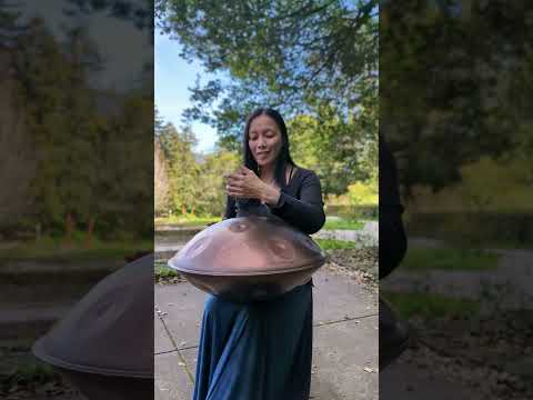 "Disconnect" - Handpan: g major 19 Elysian Instruments
