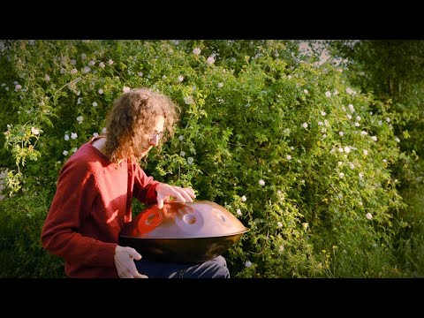 The flow | 1hour handpan meditation | F# nordlys