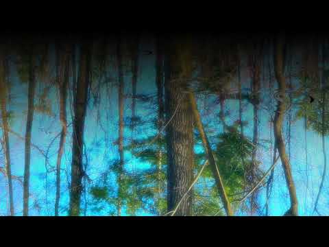 Low Frequency C (432Hz) 1-Hour BACKGROUND DEEP BASS Sounds for MEDITATION| DEEP FOCUS | DEEP SLEEP