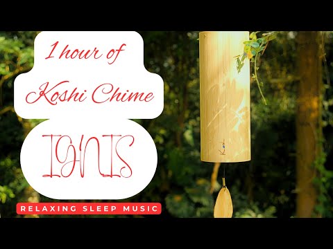 1-Hour Fire Meditation with Koshi Chimes IGNIS | ASMR Binaural Sound | 4K Experience