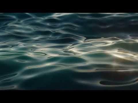 Steady | Samsara | Handpan