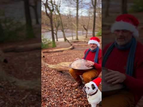 Wishing you a Happy Xmas ✨💚 #handpan #handpanmusic