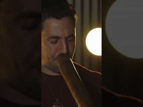 Watch what happens when every instrument joins in.
